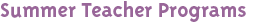 Summer Teacher Programs