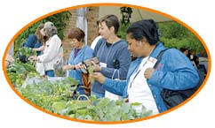 PHOTO: school gardening conference
