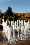 PHOTO: circle garden