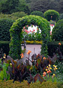 PHOTO: circle garden