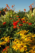 PHOTO: circle garden