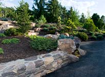 Dwarf Conifer Garden Highlights