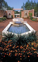 PHOTO: enabling garden