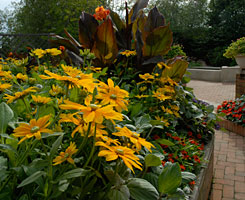 PHOTO: enabling garden