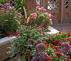 PHOTO: enabling garden