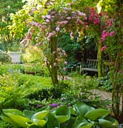 PHOTO: rose arbor