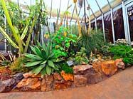 Arid Greenhouse Virtual Tour