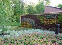 Grunsfeld Children's Growing Garden