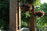 PHOTO: hanging baskets