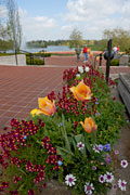 PHOTO: heritage garden