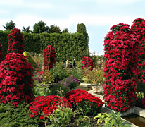PHOTO: heritage garden