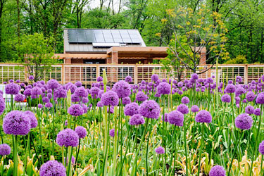 PHOTO: the Learning Campus in bloom
