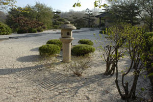 PHOTO: japanese garden