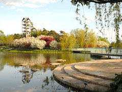 PHOTO: lakeside gardens