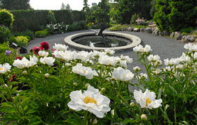 PHOTO: andscape gardens