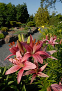 PHOTO: landscape gardens