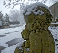 PHOTO: landscape gardens