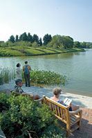 PHOTO: native plant garden