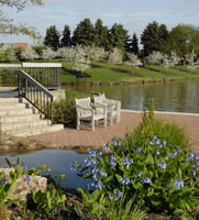 PHOTO: native plant garden