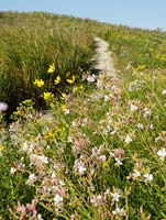 PHOTO: prairie