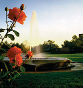 PHOTO: rose garden and fountain