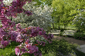 PHOTO: sensory garden