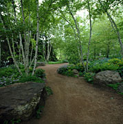 PHOTO: sensory garden