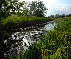 PHOTO: skokie river