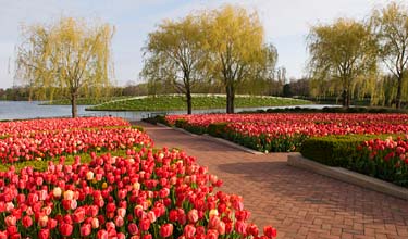 Circle Garden