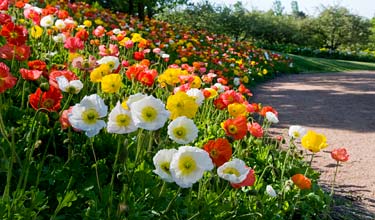 Circle Garden