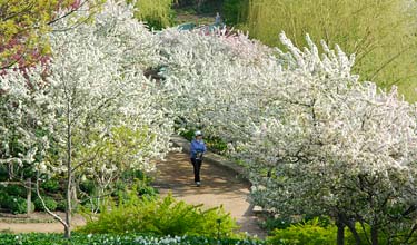 Circle Garden