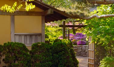 Japanese Garden