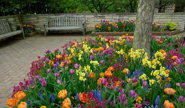 Sensory Garden