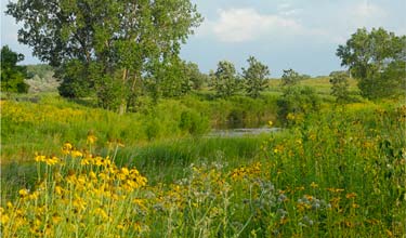 Skokie River