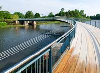 Trellis Bridge