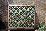 PHOTO: vertical wall gardening