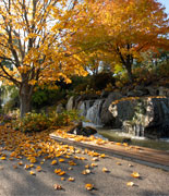 PHOTO: waterfall garden