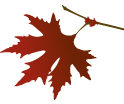 PHOTO: fall leaf illustration