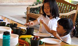 PHOTO: Free Drop-in Programs