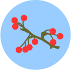 Illustration: Berries