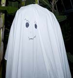 PHOTO: ghost sheet