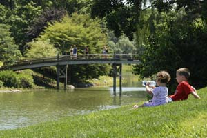 children near bridge