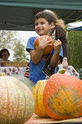 PHOTO: pumpkins at market