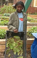 PHOTO: student selling farm lettuce