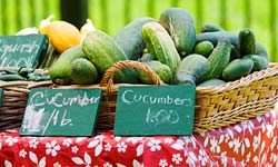 PHOTO: farm stand