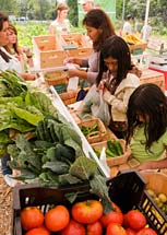 PHOTO: North Chicago Farm Stand