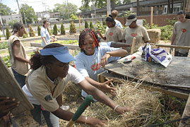 PHOTO: North Lawndale students pitch hay
