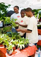 PHOTO: Students sell produce