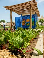 PHOTO: North Lawndale Farm