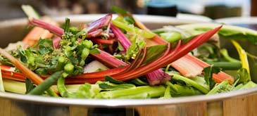 PHOTO: salad